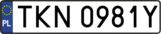 TKN0981Y