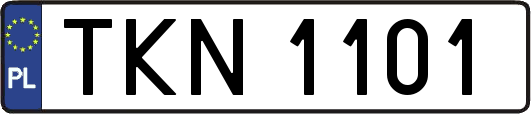 TKN1101