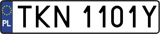 TKN1101Y