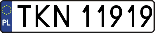 TKN11919