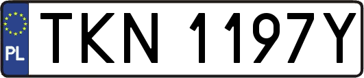 TKN1197Y