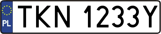 TKN1233Y