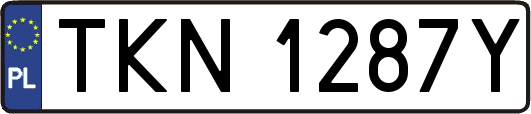 TKN1287Y