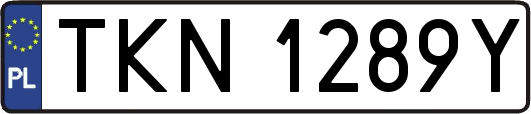 TKN1289Y