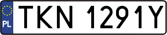 TKN1291Y