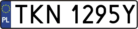TKN1295Y