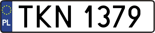 TKN1379