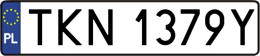 TKN1379Y