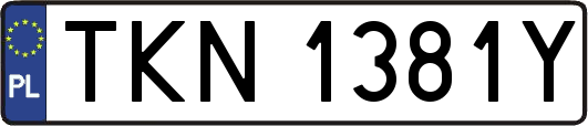 TKN1381Y