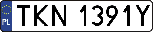 TKN1391Y