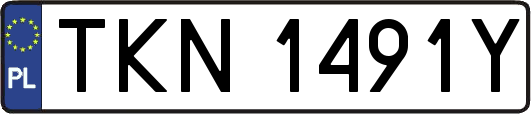 TKN1491Y