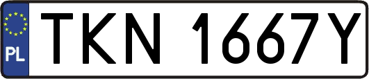 TKN1667Y