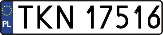 TKN17516