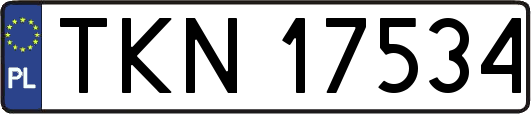 TKN17534