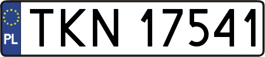 TKN17541
