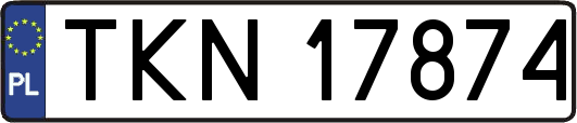 TKN17874