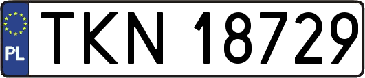 TKN18729