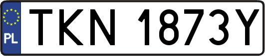 TKN1873Y