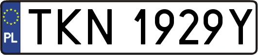 TKN1929Y