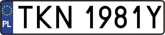 TKN1981Y