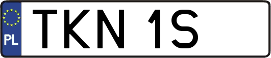 TKN1S