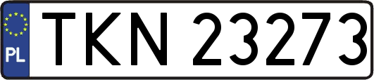 TKN23273