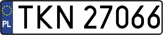 TKN27066