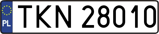TKN28010