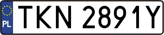 TKN2891Y