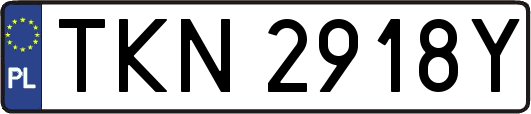 TKN2918Y
