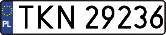 TKN29236