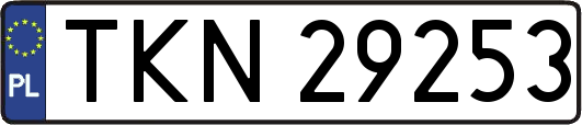 TKN29253