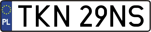 TKN29NS