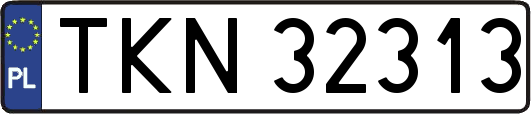 TKN32313
