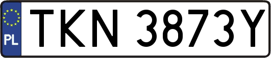TKN3873Y