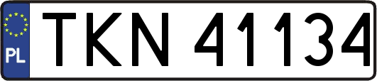 TKN41134