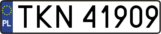 TKN41909