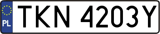 TKN4203Y