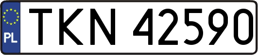 TKN42590