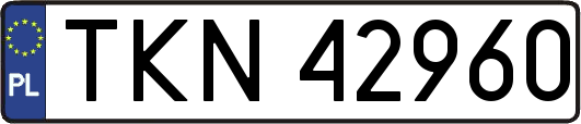 TKN42960