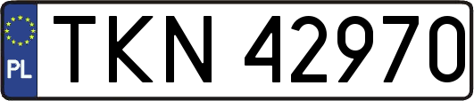 TKN42970