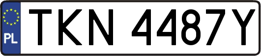 TKN4487Y
