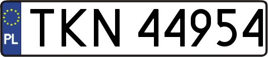 TKN44954
