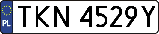 TKN4529Y