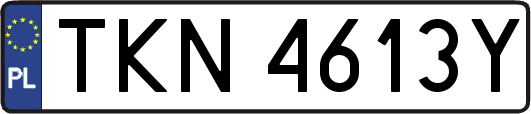 TKN4613Y