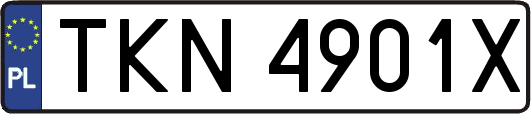 TKN4901X