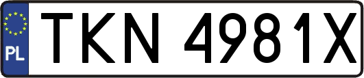 TKN4981X