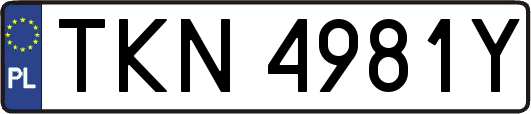 TKN4981Y