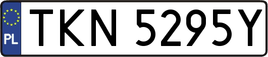 TKN5295Y
