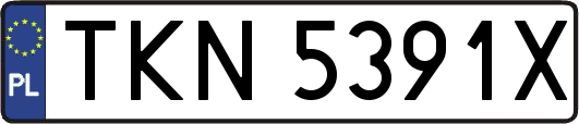 TKN5391X